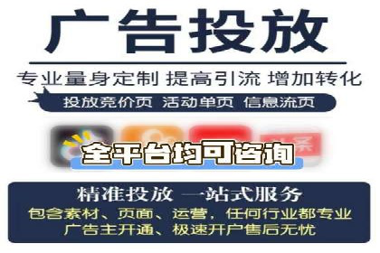 某电商平台的SEM运营实战与效果分析